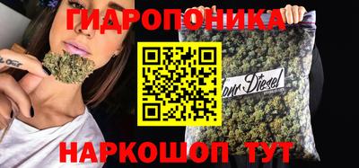 соль ск Лесосибирск